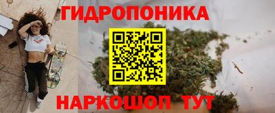 амф Кимры