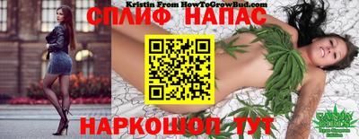 дживик Кинель