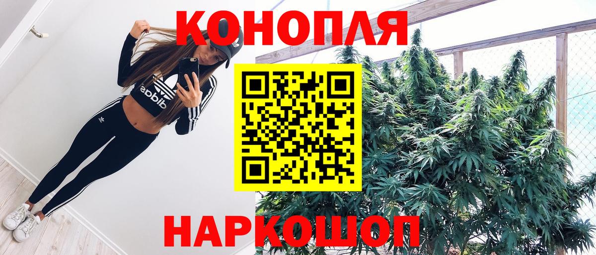 Бошки Шишки VHQ  Конопля марихуана  Тимашёвск  Конопля THC 21%  Шишки марихуана планчик  Вход с VPN 